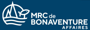 Logo MRC et réseau accès pme (3)