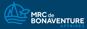 Logo MRC et réseau accès pme (4)